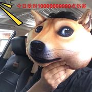 汪星人侵略地球