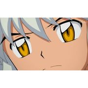 User41712072