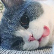 小改改我想……