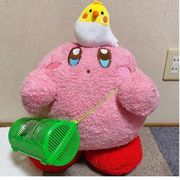 苏浅.