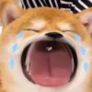 含着奶糖闯天下