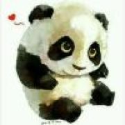 🚥🚲🚗🚓🚒🚑