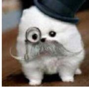 只是゛童言无忌