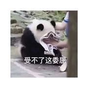 点点点点点点
