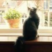 没有回忆的过去  何必回忆