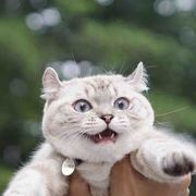 哇啦哇啦小火锅