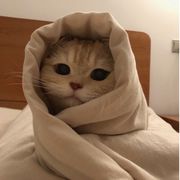 毛线线～