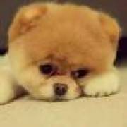 但願長醉不復醒