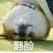 偏爱她  |｡♡