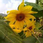 只是只是····