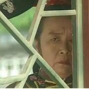 如今白首在南徐