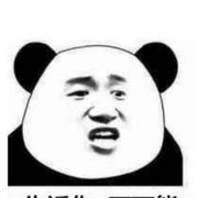 吃瓜的熊猫