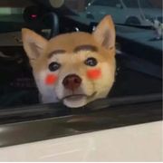 那我懂你意思了