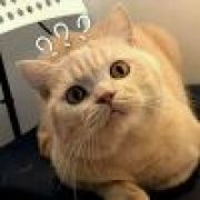 山外小楼夜听雨❄