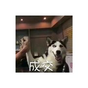 求你了