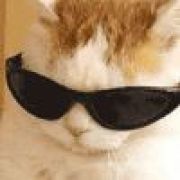 沃德添·维森么·哲么蟀