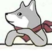 跟上了我的思必得