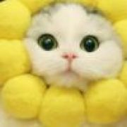 斑马爱穿格子衫