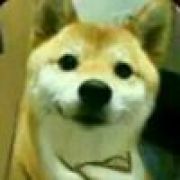 号被盗现已归！