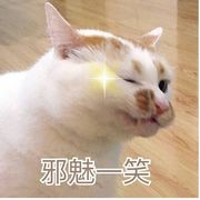 你一定要吃我这口安利