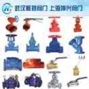 A武汉坤兴阀门-陈荣荣