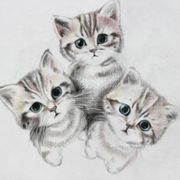 幽冥三头喵「幼喵」