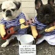 酷不过三秒(ಥ_ಥ)