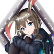 海龙小叶初号机