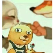 莫迴頭