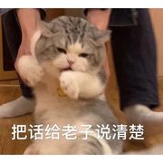 一只大鹅鹅