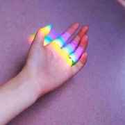 长满雏菊的仙人掌