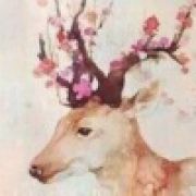 Wuli迷鹿君