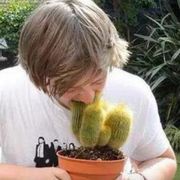 红色彗星阿姆雷