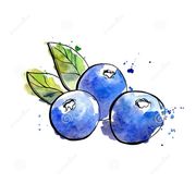 懒莓