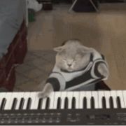 (⑉･̆⌓･̆⑉)