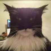 游戏一定要笑着玩