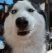 路人的名字叫酱油