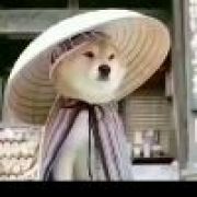 独。孤求败(*´◐∀◐`*)