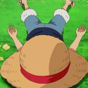 看书就打瞌睡的毛毛虫