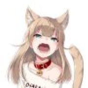 曾经的那枝百合花