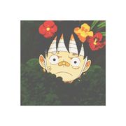 五皇路飞