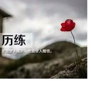 青笋