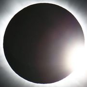 看星花彼岸寻折翼天使