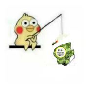 Qyccl