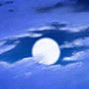 疯疯疯疯疯疯骚