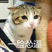 墨雫
