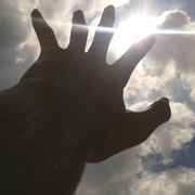 在我活着的时候希望我能玩到预约