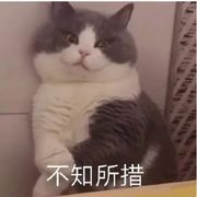 怎么就玩不明白