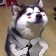 用户因说骚话已被注销、