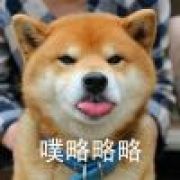 第二十三号实验品